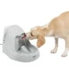 Drinkwell® Platinum® Pet Fountain 1 Drinkwell® Platinum® Pet Fountain -Best Pet Supplies udsrib7uprvzhfqlpwfx