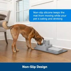 Fountain And Feeder Mat -Best Pet Supplies uf5qd3t5i1lbwqokrwtq 100b21b3 36c1 4b2a a539 2202855db117