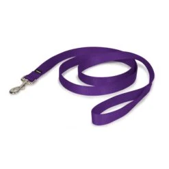 Nylon Leash -Best Pet Supplies uleuvwa4v8mvdmj0rpp2 7d8be747 09f8 4cda bc34 a61dcec0f660