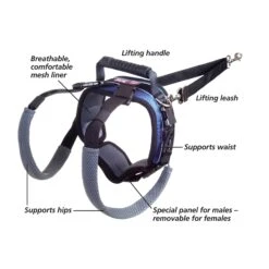 CareLift™ Rear Support Harness -Best Pet Supplies uovlpmsr9vqycqcodnj5 8d166fc1 dbff 4427 8fd3 117417f11f8b