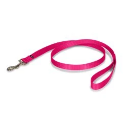 Nylon Leash -Best Pet Supplies uybsohwuw9h17erm0das 3bd3bae1 c392 4395 8b76 3e3945578786