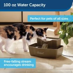 Drinkwell® Multi-Tier Pet Fountain 11 Drinkwell® Multi-Tier Pet Fountain -Best Pet Supplies uzgmgm6mykilsisejfi1 d42a4546 10b3 4182 96f0 eb3d095d9a3a