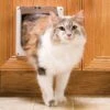 Interior 2-Way Locking Cat Door -Best Pet Supplies uzmeupdlsuqbvgii2nbo c44aec58 e4c1 462b b975 e6088f169fc3