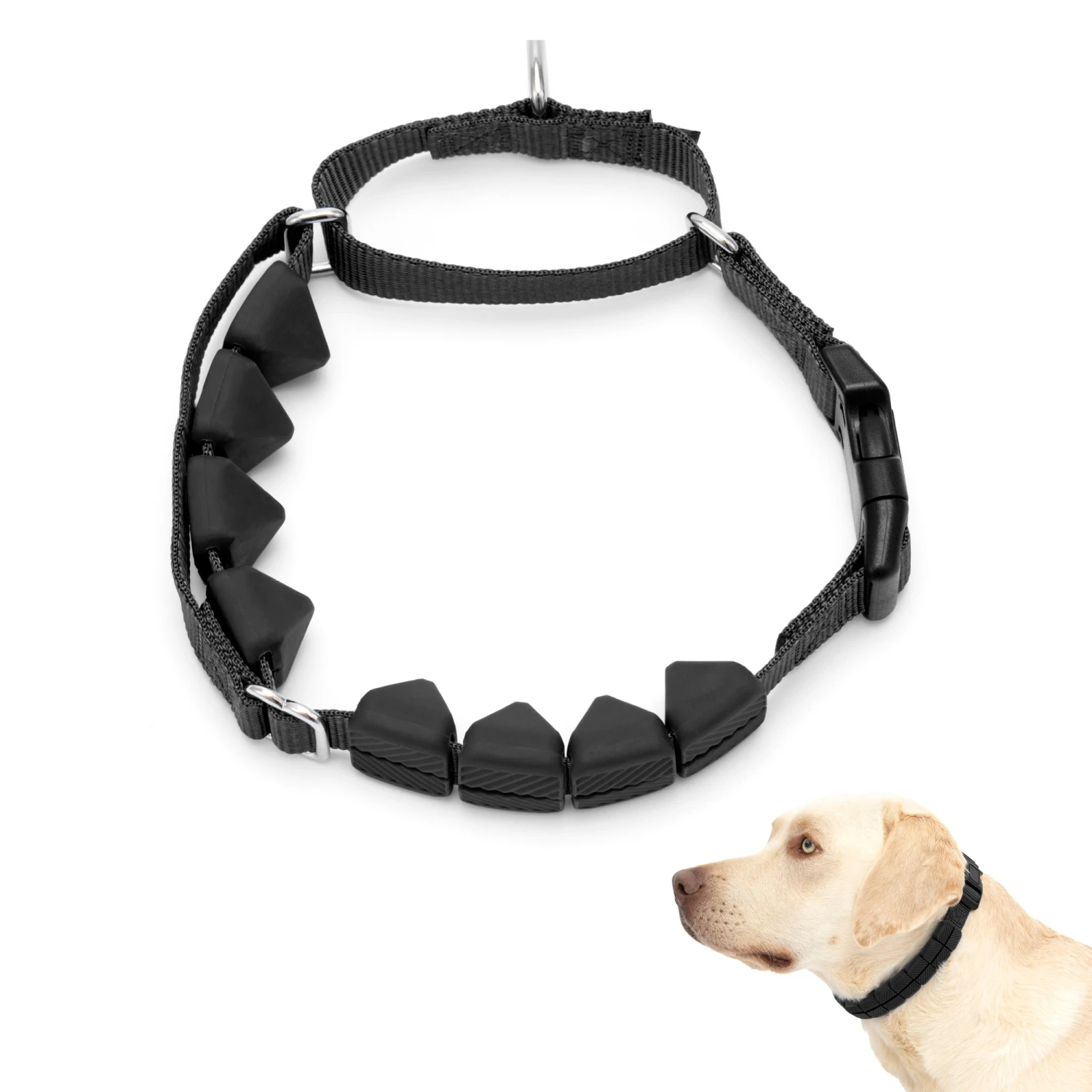 Soft Point Training Collar 3 Soft Point Training Collar