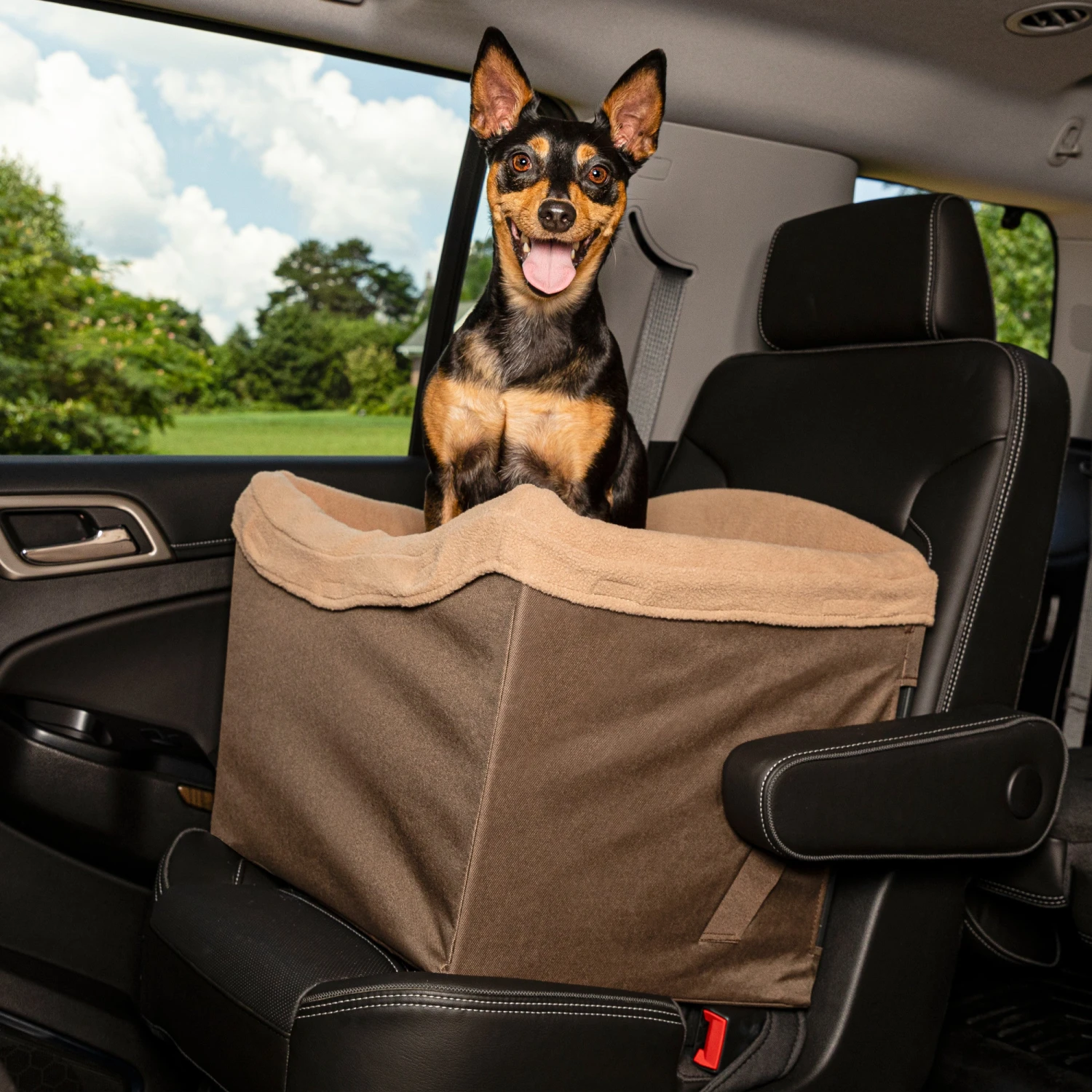Happy Ride® Dog Safety Seat 7 Happy Ride® Dog Safety Seat - Image 5