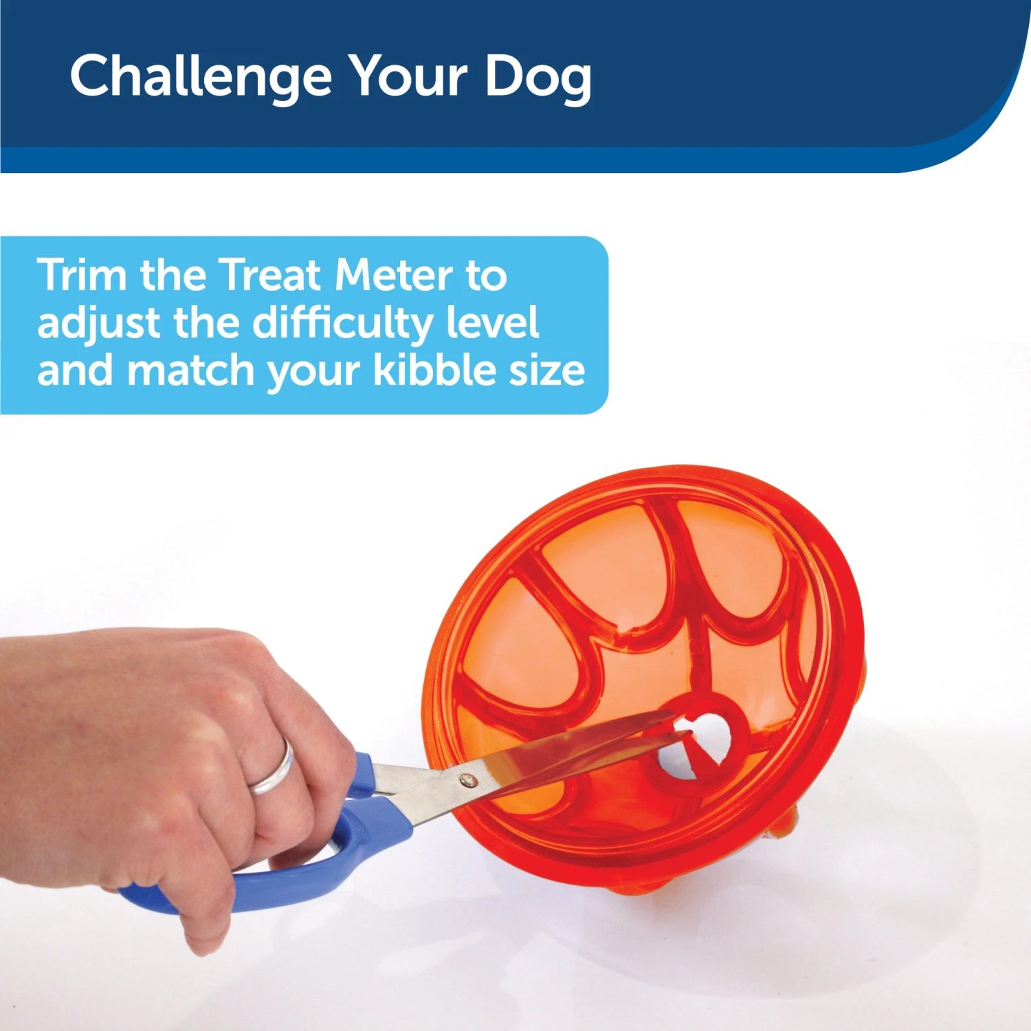 Sportsmen Kibble Nibble™ 5 Sportsmen Kibble Nibble™ - Image 3