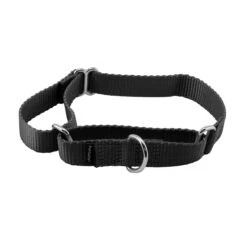 Martingale Collar -Best Pet Supplies vkkk1nvgmaa90coljueq 607d7cf3 a073 4fb6 a0a0 d07916cd6ce7