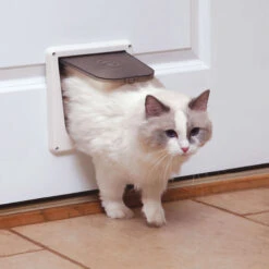 4-Way Interior Locking Cat Door