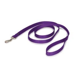 Nylon Leash -Best Pet Supplies vlfe18pbzmkzxqfv93kd 3acb4460 d731 4895 9343 7fb51f6cbc49