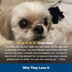 Healthy Pet Water Filter, 2-Pack -Best Pet Supplies vrfiay8fn4x1bojm0exr 0689da9f 0533 4f16 8d4d d1338b4dce53