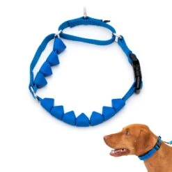 Soft Point Training Collar 13 Soft Point Training Collar -Best Pet Supplies vwtkjx7lzleebny5s5pc d942476c 3b59 4e32 9573 34e3a3de7eb0