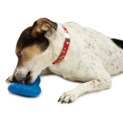 Freezable Treat Holding Chilly Penguin -Best Pet Supplies vyqg4snjl3kvjdmhvhhb 2f398c39 780e 4210 86a5 9550708eebf9