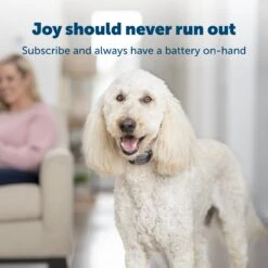 3-Volt Battery -Best Pet Supplies w5fuktyeoia0iwkjnv5n