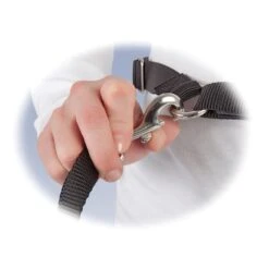 Hands-Free Leash -Best Pet Supplies wp0qzbqtkwevryplzpoa 81b5d118 d322 436e be03 c19dc0db529e