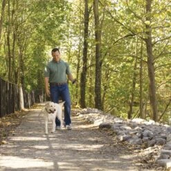 Remote Trainer Transmitter Hand Strap 11 Remote Trainer Transmitter Hand Strap -Best Pet Supplies wzyarlitxvovigfouk66 3b723896 e245 4478 822e bb9be7b47ae6