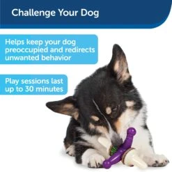 Busy Buddy® Jack 17 Busy Buddy® Jack -Best Pet Supplies x7pj30mhggd89fhzw9pi e10e7aa7 9dc2 43f8 acdd 7dc99095b23c