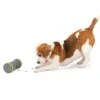 Kibble Chase™ Roaming Treat Dropper 2 Kibble Chase™ Roaming Treat Dropper -Best Pet Supplies xdciojrxkbvmupjhrj9b 44f028f7 3203 40a9 abda 23b55c927dec