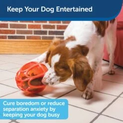 Sportsmen Kibble Nibble™ 11 Sportsmen Kibble Nibble™ -Best Pet Supplies xdngw2cnryloc1eyuxar 09126fbf 1494 4f20 ad32 dbff282f7e17