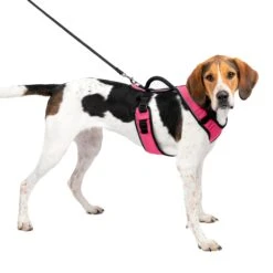 EasySport Harness 40 EasySport Harness -Best Pet Supplies xhvvm4my93sakrbbbtwq c169643d d58f 4aee 95ba 877d33144592