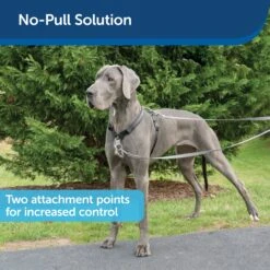 3 In 1 Harness With Two Point Control Leash -Best Pet Supplies xrk9mjgrql2g1opm8wtg 5e4abdeb d789 48b6 98ed e5bf1dab2e27