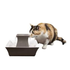 Drinkwell® Pagoda Fountain -Best Pet Supplies xv9jjxiyvliwul0csluc b851332a 138b 4878 b45b a6ef03ce7a12