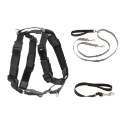 3 In 1 Harness With Two Point Control Leash -Best Pet Supplies xxnjr8kk1kyzpmga3dmz 541dd4e3 e8c5 4dfb 8208 d10887e2d818