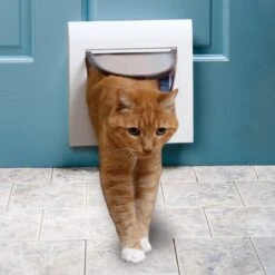 4-Way Locking Cat Flap