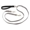 Two Point Control Leash -Best Pet Supplies ycq5woqao4ikhicpidva 266e5c06 f3af 46f3 9908 f108a20fe417