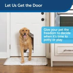 Freedom® Aluminum Pet Door 16 Freedom® Aluminum Pet Door -Best Pet Supplies yczhqjdnjmyadmwa6ok1 a70f3b90 e0a7 42f5 9c0f 70debae84b92
