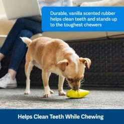 Frosty Cone -Best Pet Supplies yeu3ctmzj38dgifw0qsk 9ded042a 6b6d 4deb 9904 5177fa5dc61c