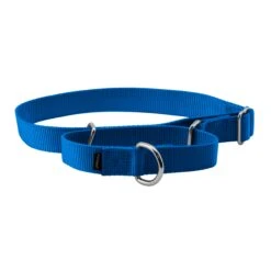 Martingale Collar -Best Pet Supplies yobfpxdhrm7nwzstxblc 8444388a e928 4d5a 8416 3b86a7cc2a9e