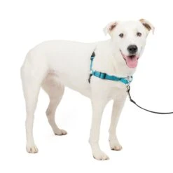 Deluxe Easy Walk® Harness -Best Pet Supplies zaeybinldsszq41oahe0 b3480e78 1237 4b08 8d7b e6d12f12592c