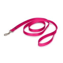 Nylon Leash -Best Pet Supplies zbuxm0u1i1jlon508awk 386e0b42 68b4 40dc 9cc9 ea201d097565