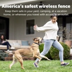 Stay & Play® Compact Wireless Fence Extra Transmitter -Best Pet Supplies zh4q7qjkuimt2zesb8xq c9eb9917 7f24 4a4e a0e3 ef9dbd98a645