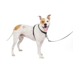 3 In 1 Harness -Best Pet Supplies zmzcxzd6k3sai8jk6ujm e93b9a52 e3d9 485d b9a4 b660c15847a5