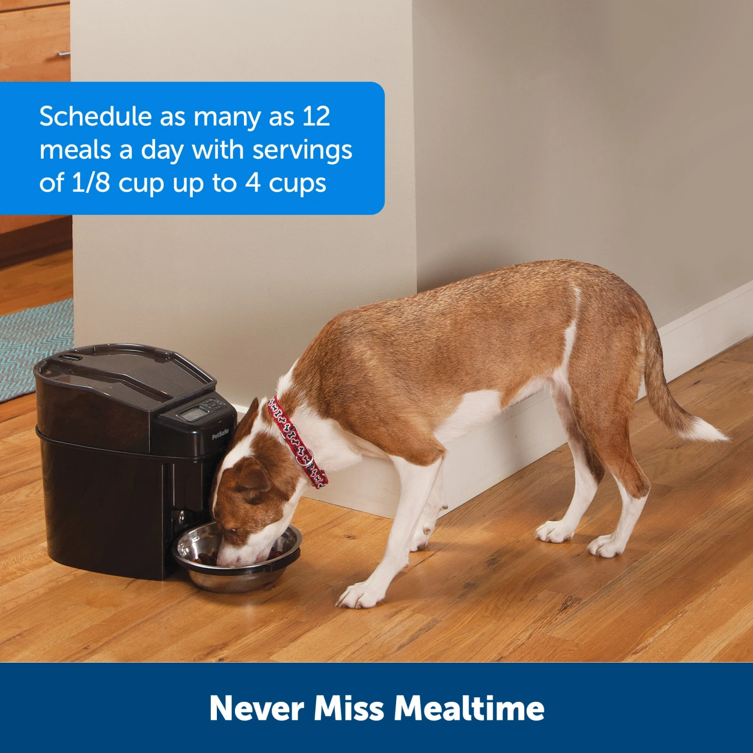 Healthy Pet Simply Feed™ 4 Healthy Pet Simply Feed™ - Image 2