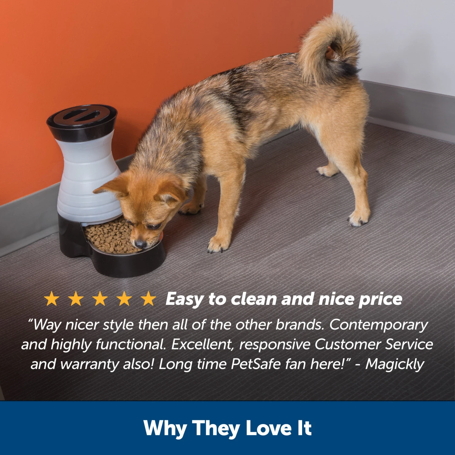 Healthy Pet Food Station™ 8 Healthy Pet Food Station™ - Image 6